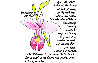 Sketching-Journaling Workshop with Irene Brady
