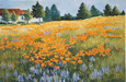 Doris Olsen Painting Workshops