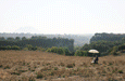 Etruscan Places - Landscape Painting in Tuscany