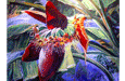House of Wind and Water Art/Nature Retreats