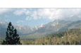 Idyllwild Arts Summer Program